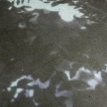 http://dmarc.lightizm.com/files/gimgs/th-76_71_Nostalgia1_v2.jpg