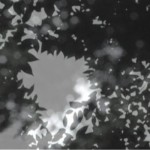 http://dmarc.lightizm.com/files/gimgs/th-76_71_Nostalgia2_v2.jpg